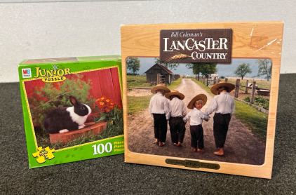 (2) Puzzles