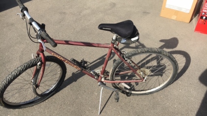 Gary fisher bike