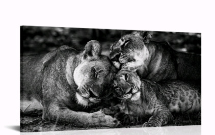 (1) Fochorlo Large Wild Animal Canvas Print Black & White 24 x 48 Inch