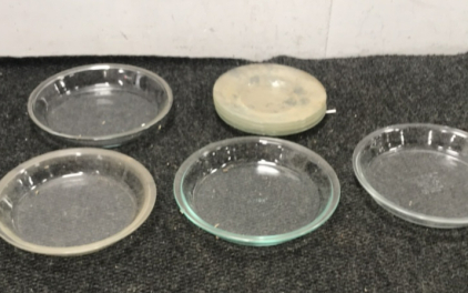 (2) Pyrex Pie Trays And More
