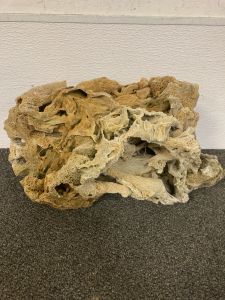 Sea Coral