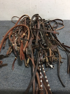 Large lot of Horse Tack