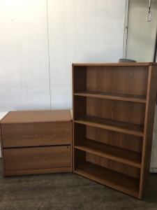 Bookshelf and Filing Cabinet