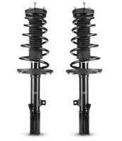 Rear L& R Struts