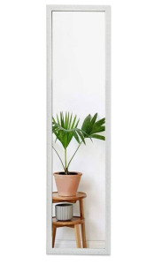 50x14” Door Mirror