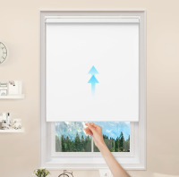 Beautiful 3 Piece Wall Art, & (4) Blackout Blinds - 3