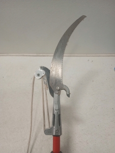 Corona Telescoping Compound Action Tree Pruner