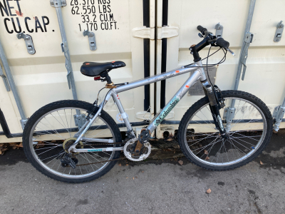 26&rdquo; Grey Columbia Bike