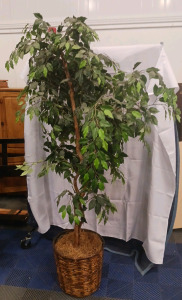 (1) 7-Ft Artificial Ficus Tree w/ Woven Basket