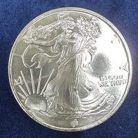 Walking Liberty One Troy Oz. .999 Fine Silver Coin- Authenticated