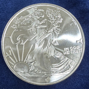 Walking Liberty One Troy Oz. .999 Fine Silver Coin- Authenticated