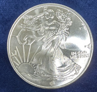 Walking Liberty One Troy Oz. .999 Fine Silver Coin- Authenticated