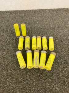 (13) 20 Gauge Shotgun Shells