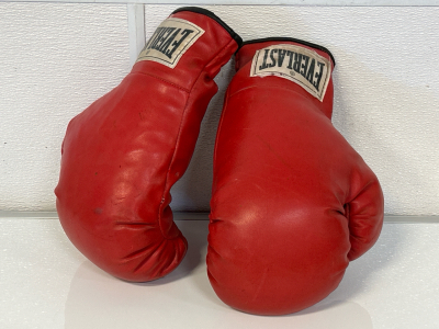 Pair Of Everlast Boxing Gloves