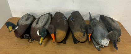 Duck Hunting Decoys