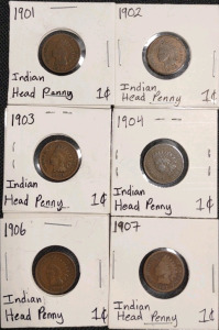 (6) Indian Head Pennies from 1901-1904, 1906, & 1907
