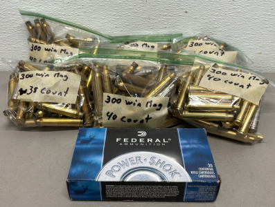 (1) Box Of 20 300 Win. 180 Grain Centerfire Rifle Cartridges And (238) 300 Win. Empty Shells For Reloading