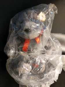 New in Bag Celebrity Bears Wizard Of Oz TinMan Large Bear