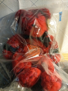 New in Bag Celebrity Bears #23 Michael Jordan Large Bear