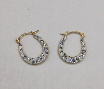 10K Gold Horseshoe Shape Earrings