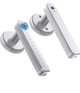 (1) Smart Lock, Fingerprint Door Lock Door Knob with Keypad - Keyless Entry Door Lock, Silver
