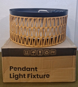 (1) 16" Pendant Light Fixture