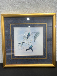 (1) Humming Bird Framed Canvas 16”x17”