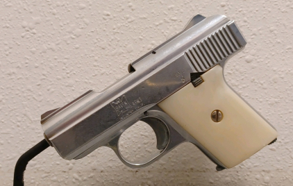 Raven MP-25 .25ACP Pistol - 1730583