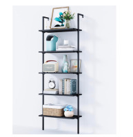 Tajsoon Ladder Shelf