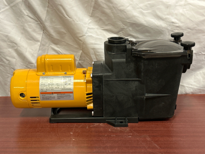 Hayward Super Pump