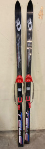 Fischer Skis