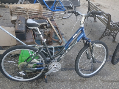 Giant bike