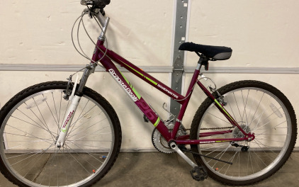 Granite Peaks Roadmaster Teen Bike