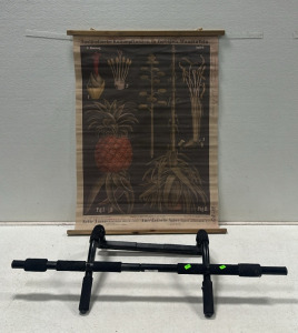 Golds Gym 5-In-1 Door Trainer, German Canvas Plant Diagram