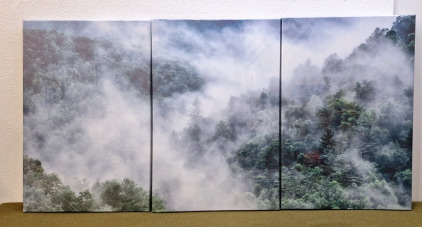 (1) Misty Forest 3-Panel Canvas Wall Art Print, 48"L x24"T