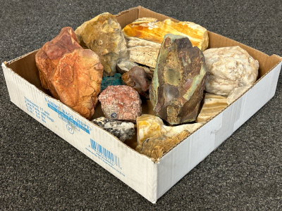 Box With Collectible Precious Stones: Turquoise, Petrified Wood, Jasper and More