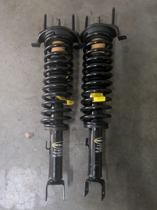 (2) Vehicle Struts
