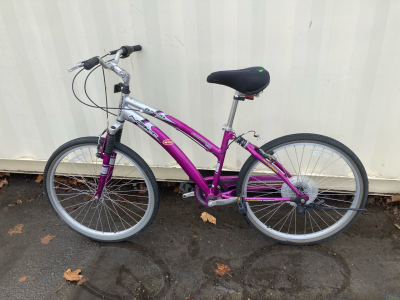 26&rdquo; Purple + Silver Avalon Next Bike