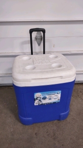 20"x 18&frac12;"x 20&frac12;" Igloo&reg; Ice&trade; Cube Cooler
