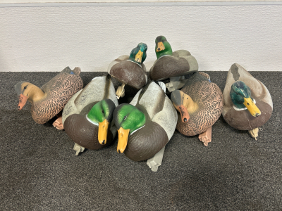 (7) Duck Decoys