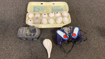 Ryobi 18v Lithium Battery, Controller, Clay Eggs, Clay Seashell