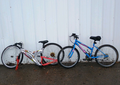 (2) Mountain Bikes - Mongoose DXR AL Roadmaster MT Fury