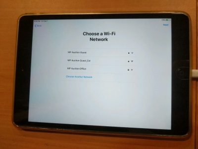 Apple iPad Model A1489