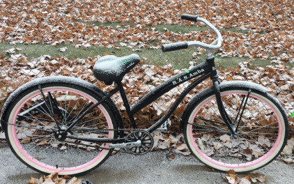 R.A.S Cruiser 26x2.125