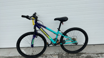 Blue and Green Nishiki Mountain Bike 24&rdquo;