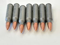 Small Container with Mixed Ammo: .223 REM And 9mm Luger - 3
