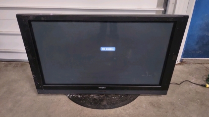 51" Insignia Flat Screen TV