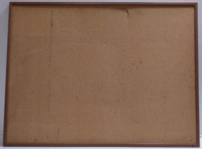 4'x 3' Big Corkscrew Pin Board