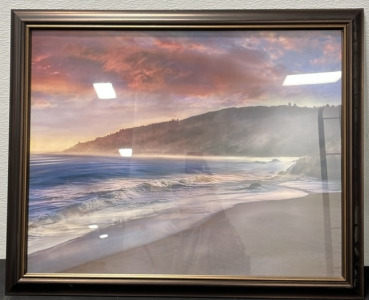 (1) Beach Picture Great Condition