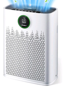 (1) Ecoself HAP-603 True HEPA Air Purifier W/ Built In Dust Sensor